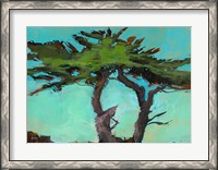 Framed Cypresses