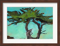 Framed Cypresses