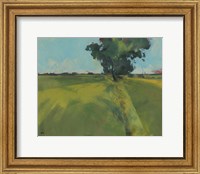 Framed Essex Field