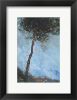 Framed Lone Moorland Pine