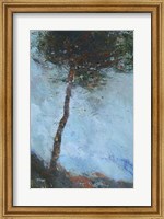 Framed Lone Moorland Pine