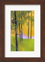 Framed Simple Spruce