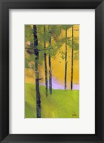 Framed Simple Spruce