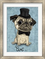 Framed Gentle Pug