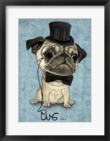 Framed Gentle Pug