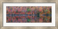 Framed Upson Lake Reflection