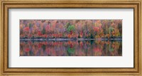 Framed Upson Lake Reflection