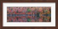 Framed Upson Lake Reflection