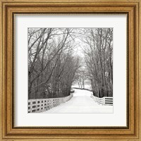 Framed Country Lane in Winter