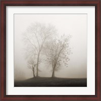 Framed Four Trees in Fog