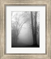 Framed November Fog