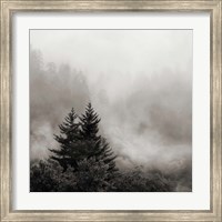 Framed Rising Mist, Smoky Mountains