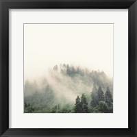 Framed Smoky Mountains