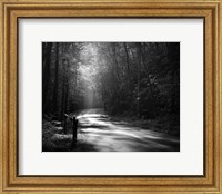 Framed Tremont Road, Smoky Mountains