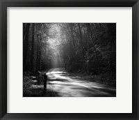 Framed Tremont Road, Smoky Mountains