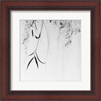 Framed Willow Print No. 1
