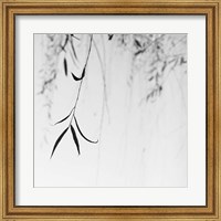 Framed Willow Print No. 1