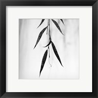 Framed 'Willow Print No. 2' border=