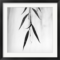 Framed 'Willow Print No. 2' border=