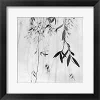 Framed Willow Print No. 3