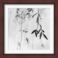 Framed 'Willow Print No. 3' border=