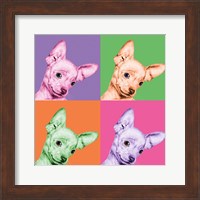 Framed Sweet Chihuahua Pop