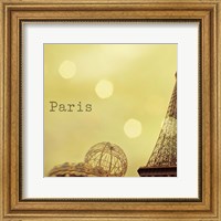 Framed Memories of Paris