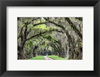 Framed Old South