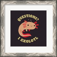 Framed Axolotl Questions