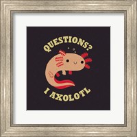 Framed Axolotl Questions