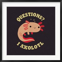Framed Axolotl Questions