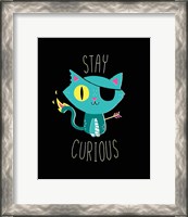 Framed Stay Curious