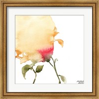 Framed Watercolor Floral Yellow and Red I