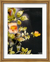 Framed Roses on Black