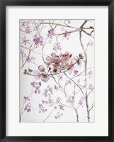 Framed Cherry Blossoms