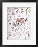 Framed Cherry Blossoms