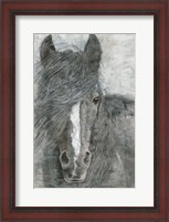 Framed Horse in the Wind