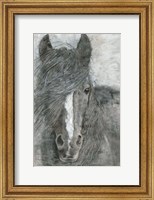 Framed Horse in the Wind