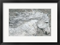 Framed Wild Horse