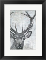 Framed Portrait of a Deer