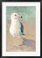 Framed Beach Bird