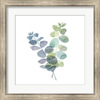 Framed Natural Inspiration Blue Eucalyptus on White I