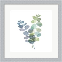 Framed Natural Inspiration Blue Eucalyptus on White I