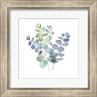 Framed Natural Inspiration Blue Eucalyptus on White II