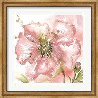 Framed Blush Watercolor Poppy II