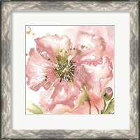 Framed Blush Watercolor Poppy II