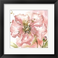 Framed Blush Watercolor Poppy II