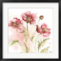 Framed Blush Watercolor Poppy III