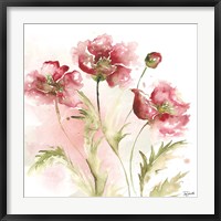 Framed Blush Watercolor Poppy III