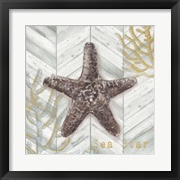 Framed 'Gray Gold Chevron Star Fish' border=